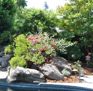 Bold Boulder Garden